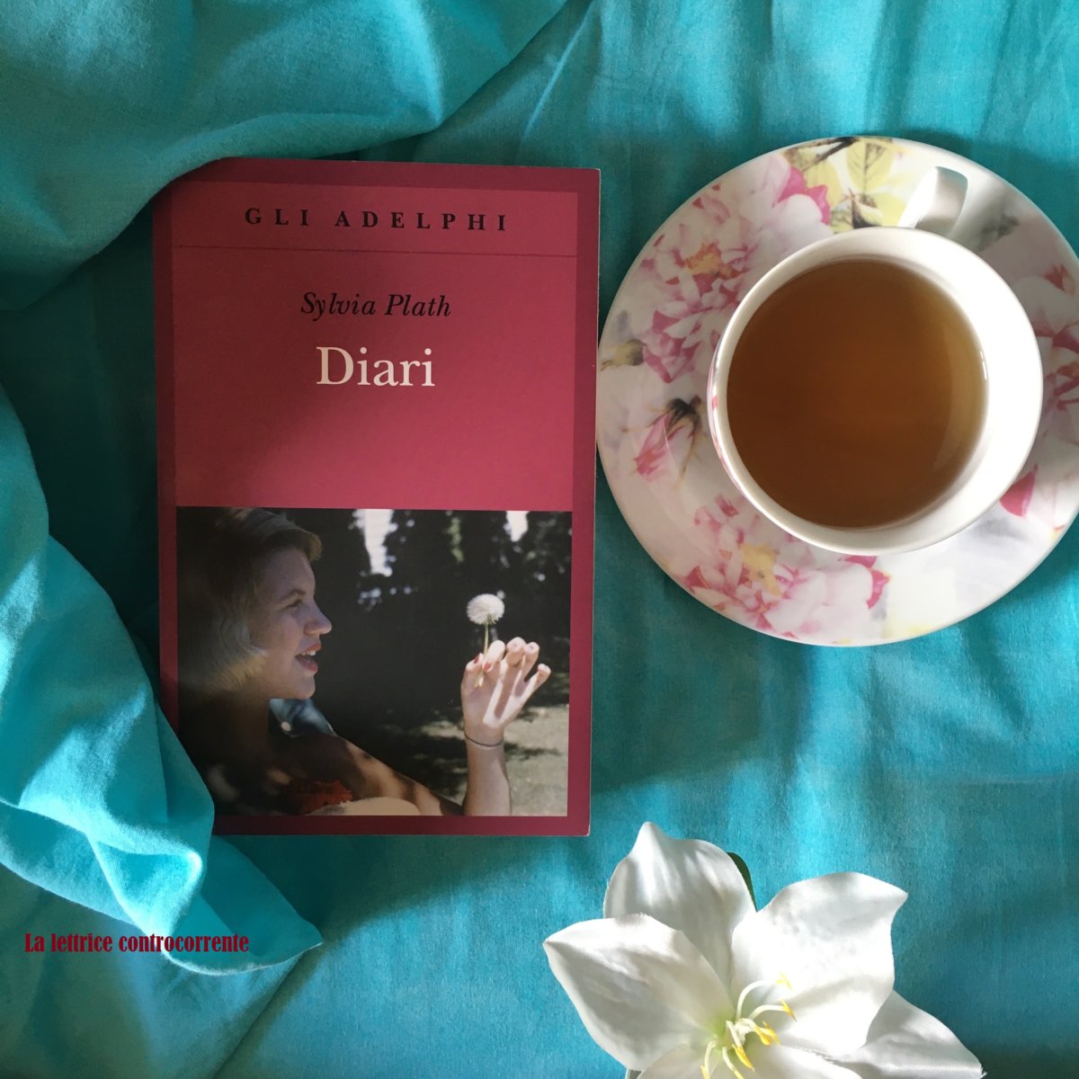 RECENSIONE: Diari (Sylvia Plath) - La lettrice controcorrente