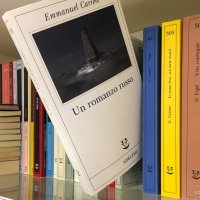 Baffi - Emmanuel Carrère - Libro - Costa & Nolan - Ritmi