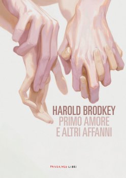 Primo amore e altri affanni di Harold Brodkey (Fandango libri)