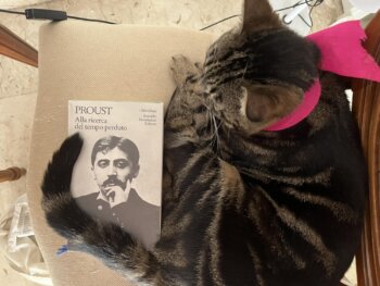 Proust controcorrente Albertine scomparsa 