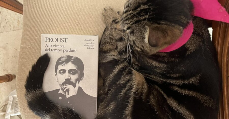 Proust controcorrente Albertine scomparsa