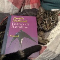 Diario di rondine di Amélie Nothomb (Voland edizioni)