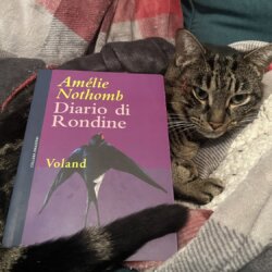 RECENSIONE: Diario di Rondine (Amélie…