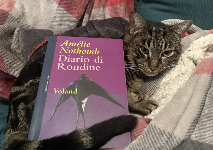 Diario di rondine di Amélie Nothomb (Voland edizioni)