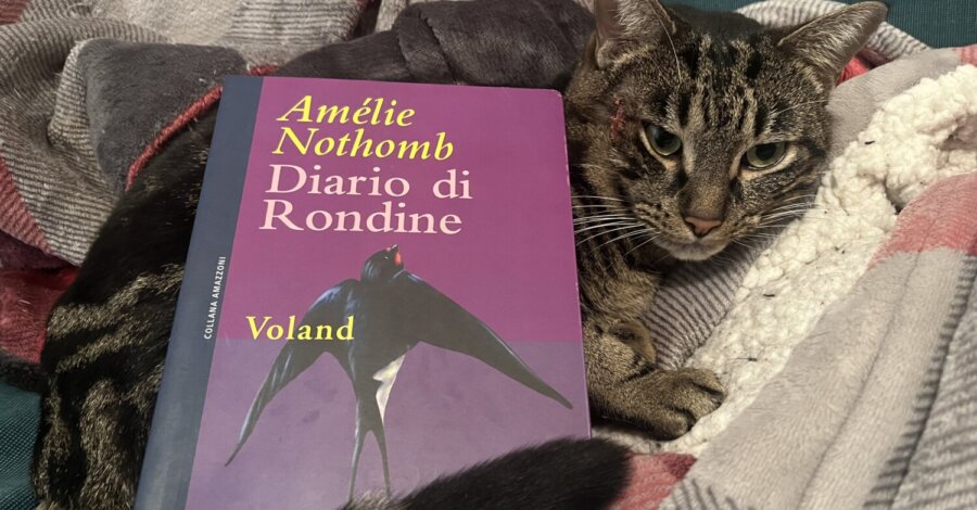 Diario di rondine di Amélie Nothomb (Voland edizioni)