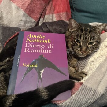 Diario di rondine di Amélie Nothomb (Voland edizioni)